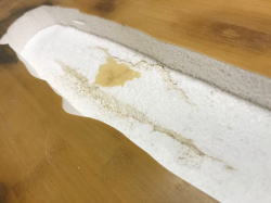 �G�|�L�V Firewire �����O�{�[�h 1_4